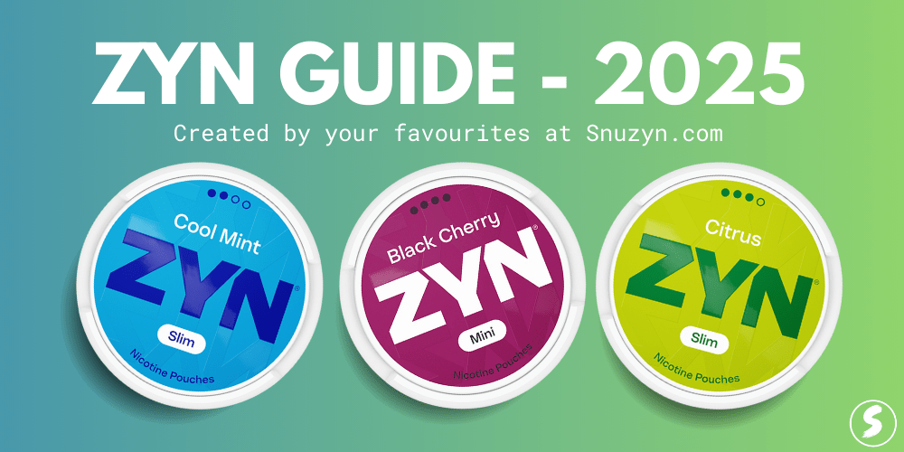 Understanding ZYN in 2025 – Complete ZYN Guide - Snuzyn