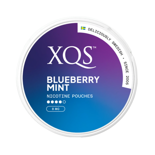 XQS Blueberry Mint nicotine pouch. 