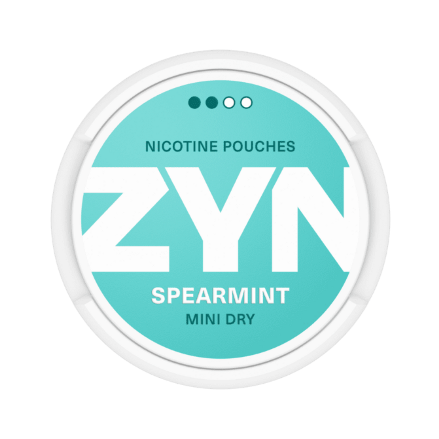 ZYN Spearmint Mini